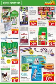 Herkules Baumarkt Prospekt woche 36 Seite 15