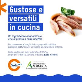 Volantino Sole 365 Pagina 5