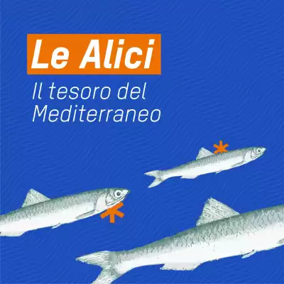 volantino Sole 365 (valido fino al 14-09)