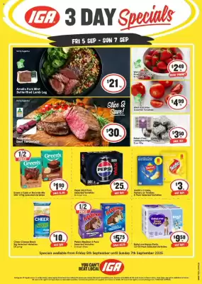 IGA catalogue (valid until 7-09)