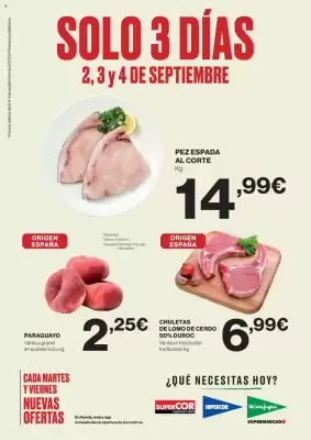Catálogo El Corte Inglés (válido hasta el 4-09)