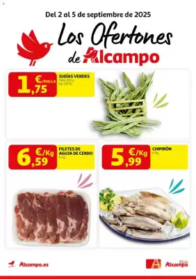 Folleto Alcampo (válido hasta el 5-09)