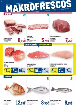 Catálogo Makro
