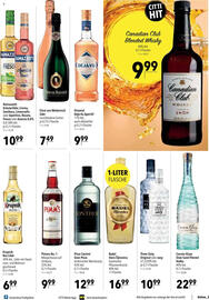 CITTI Markt Prospekt woche 36 Seite 17