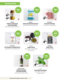 Blush Lane Organics flyer Page 2
