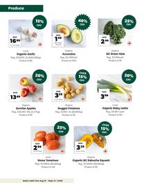 Blush Lane Organics flyer Page 3