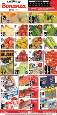 Bonanza flyer (valid until 10-09)