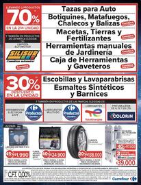 Catálogo Carrefour Página 21