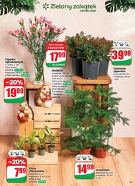 Dino gazetka tydzień 36 Strona 53