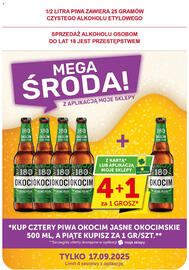 Euro Sklep gazetka Strona 41