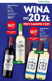 Żabka gazetka Strona 13