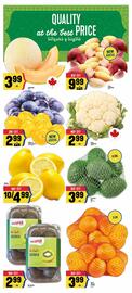 Marché Adonis flyer week 36 Page 4