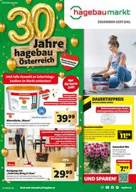 Hagebau Flugblatt Seite 1