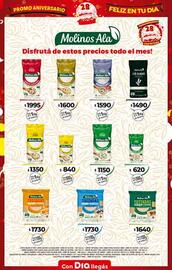 Folleto Supermercados DIA | Promo Aniversario Página 13