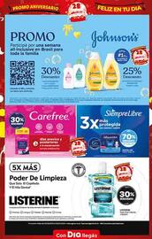 Folleto Supermercados DIA | Promo Aniversario Página 17