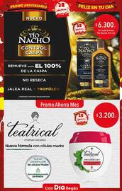 Folleto Supermercados DIA | Promo Aniversario Página 19