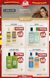 Folleto Supermercados DIA | Promo Aniversario Página 20
