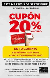 Folleto Supermercados DIA | Promo Aniversario Página 22