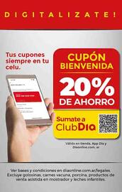 Folleto Supermercados DIA | Promo Aniversario Página 24