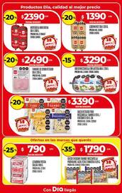 Folleto Supermercados DIA | Promo Aniversario Página 29