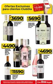 Folleto Supermercados DIA | Promo Aniversario Página 66