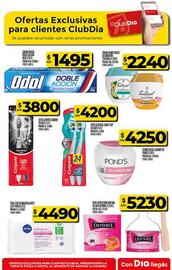 Folleto Supermercados DIA | Promo Aniversario Página 67