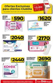 Folleto Supermercados DIA | Promo Aniversario Página 69