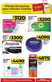 Folleto Supermercados DIA | Promo Aniversario Página 70