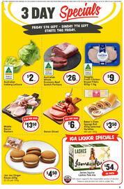 IGA catalogue Page 1