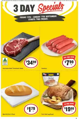 IGA catalogue (valid until 7-09)