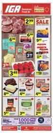 IGA flyer Page 1