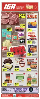 IGA flyer