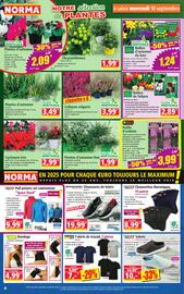 Catalogue Norma semaine 37 page 4
