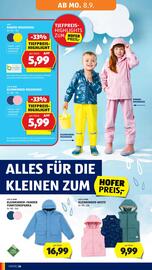 Hofer Flugblatt woche 36 Seite 30