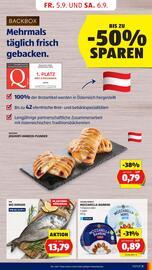 Hofer Flugblatt woche 36 Seite 5