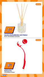 Action Flugblatt woche 36 Seite 11
