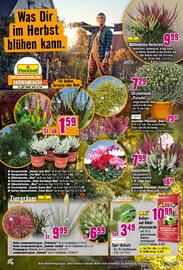 Hornbach Prospekt Seite 14