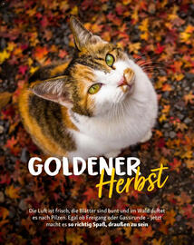 Fressnapf Magazin Seite 11