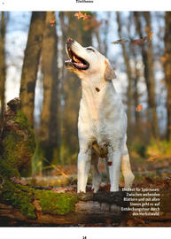 Fressnapf Magazin Seite 14