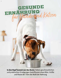Fressnapf Magazin Seite 16