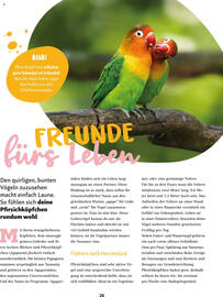 Fressnapf Magazin Seite 26