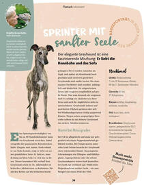 Fressnapf Magazin Seite 34