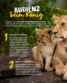 Fressnapf Magazin Seite 36