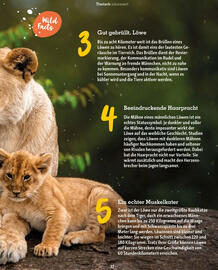 Fressnapf Magazin Seite 37