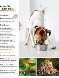 Fressnapf Magazin Seite 4