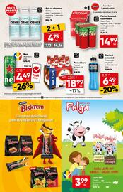 Catalog PROFI Pagină 13
