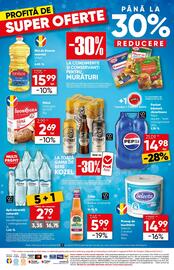 Catalog PROFI Pagină 16