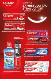 Catalog PROFI Pagină 17
