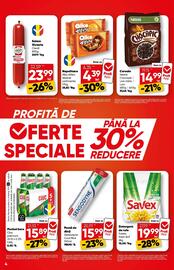 Catalog PROFI Pagină 4