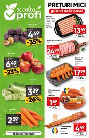 Catalog PROFI Pagină 6